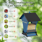 Outdoor hanging bird feeder size guide for cardinals finches chickadees and other wild birds