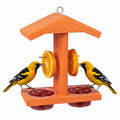 Orange oriole feeder with two jelly cups and orange fruit pegs
