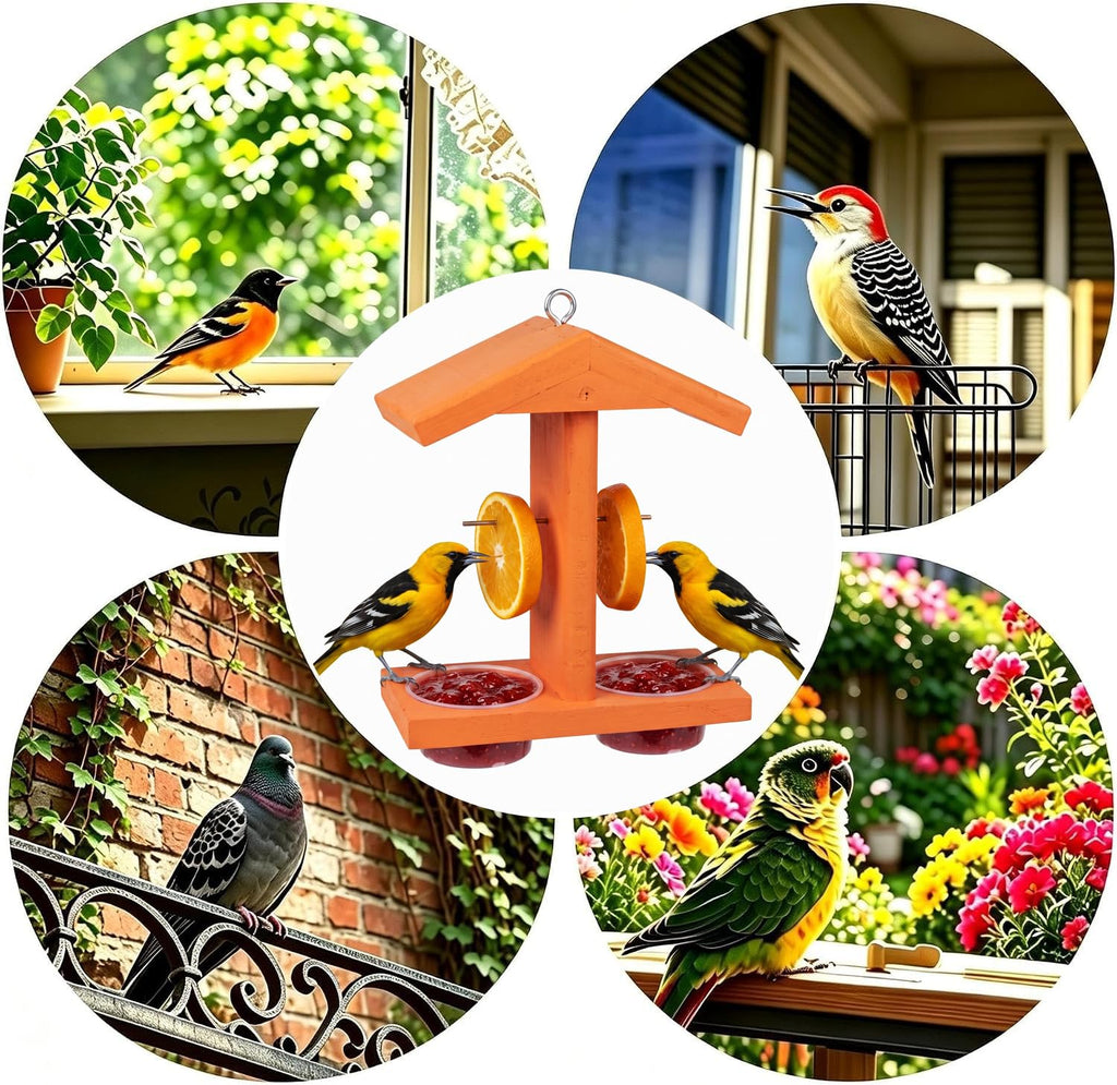 Orange oriole feeder for backyard garden patio and porch bird feeding