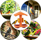 Orange oriole feeder for backyard garden patio and porch bird feeding