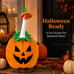 Halloween pumpkin porch goose outfit